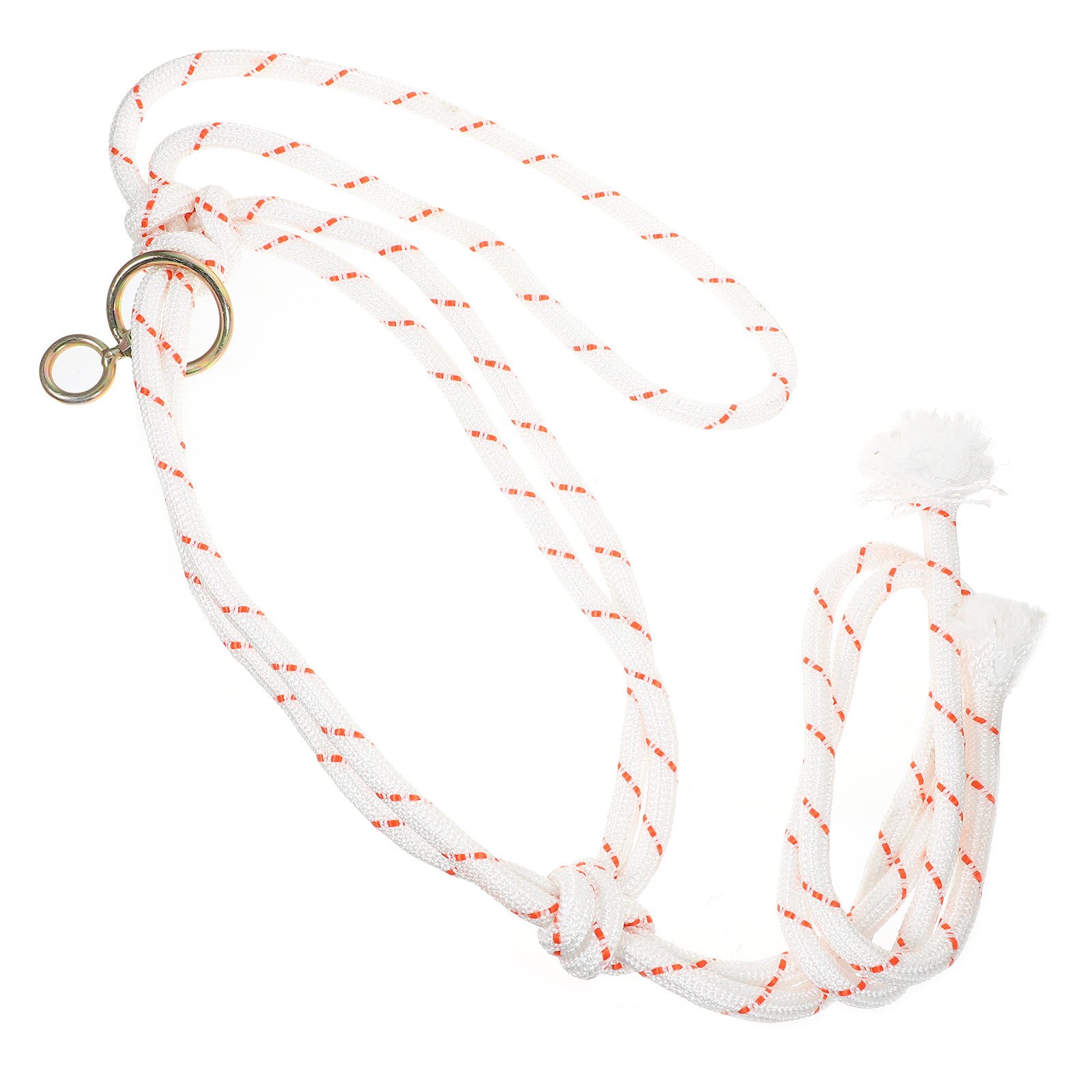 Professional Cattle Halter Hea - Heavy Equipment Safety Training บทวิจารณ์และราคา