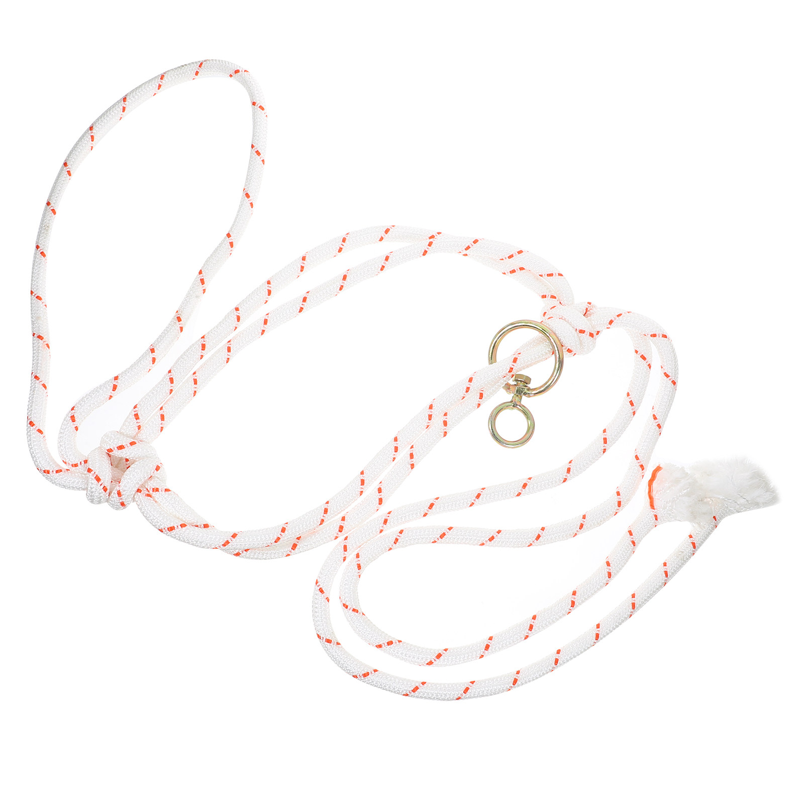 Professional Cattle Halter Hea - Heavy Equipment Safety Training บทวิจารณ์และราคา